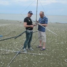 sborka-2el-quads50mc