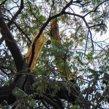 10774815527631704205701105202620440621529021n