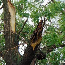 10816810427631709472367248245297536819196819n