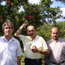 ux0ffi5mziur5fbu2005