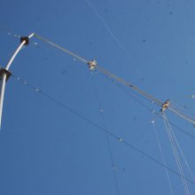 gp-24m-27nov23-crush-2